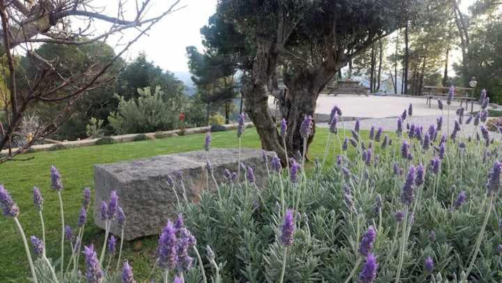 Quinta Da Idalina Villa Monchique Eksteriør bilde
