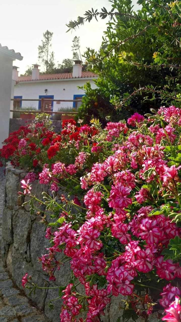 Quinta Da Idalina Villa Monchique Eksteriør bilde