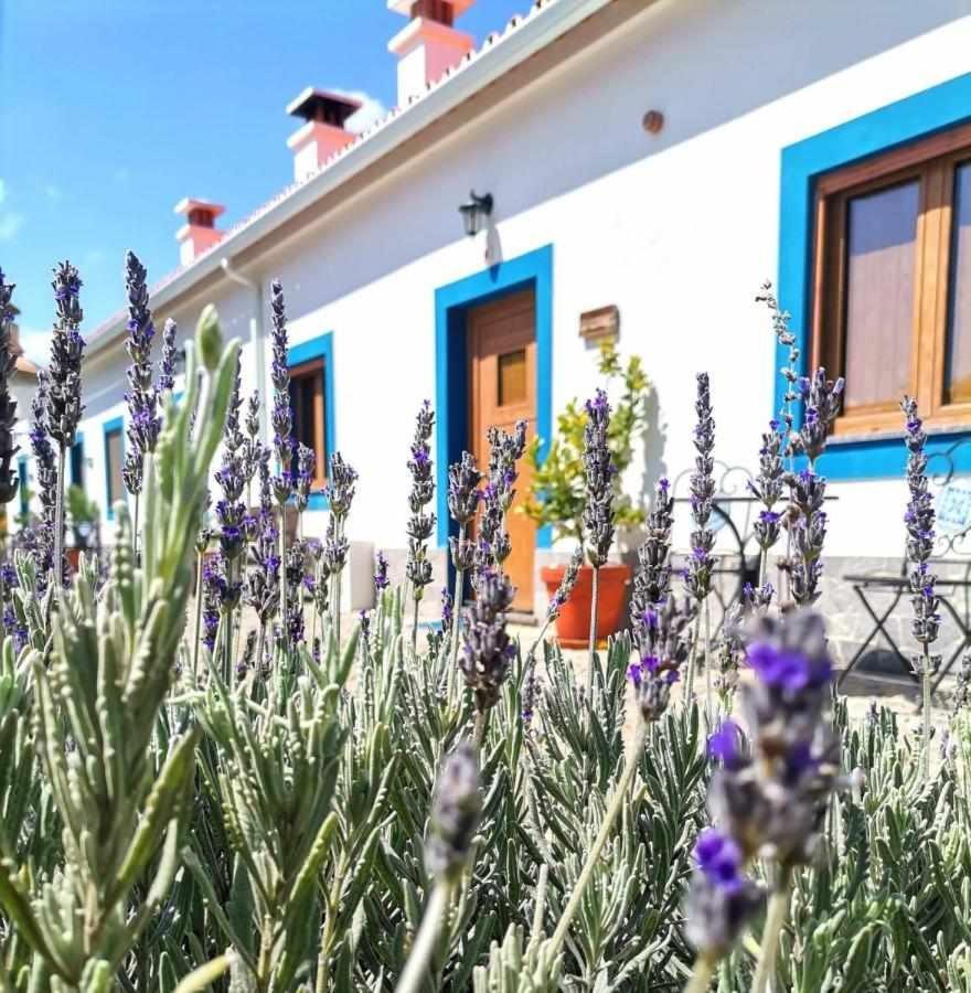 Quinta Da Idalina Villa Monchique Eksteriør bilde